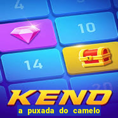 a puxada do camelo no jogo do bicho